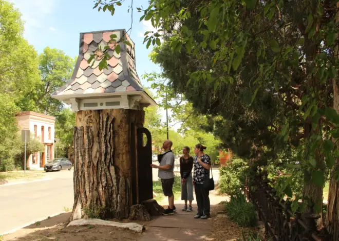 Stump of beloved Boulder Pearl Street cottonwood gets second life as little library