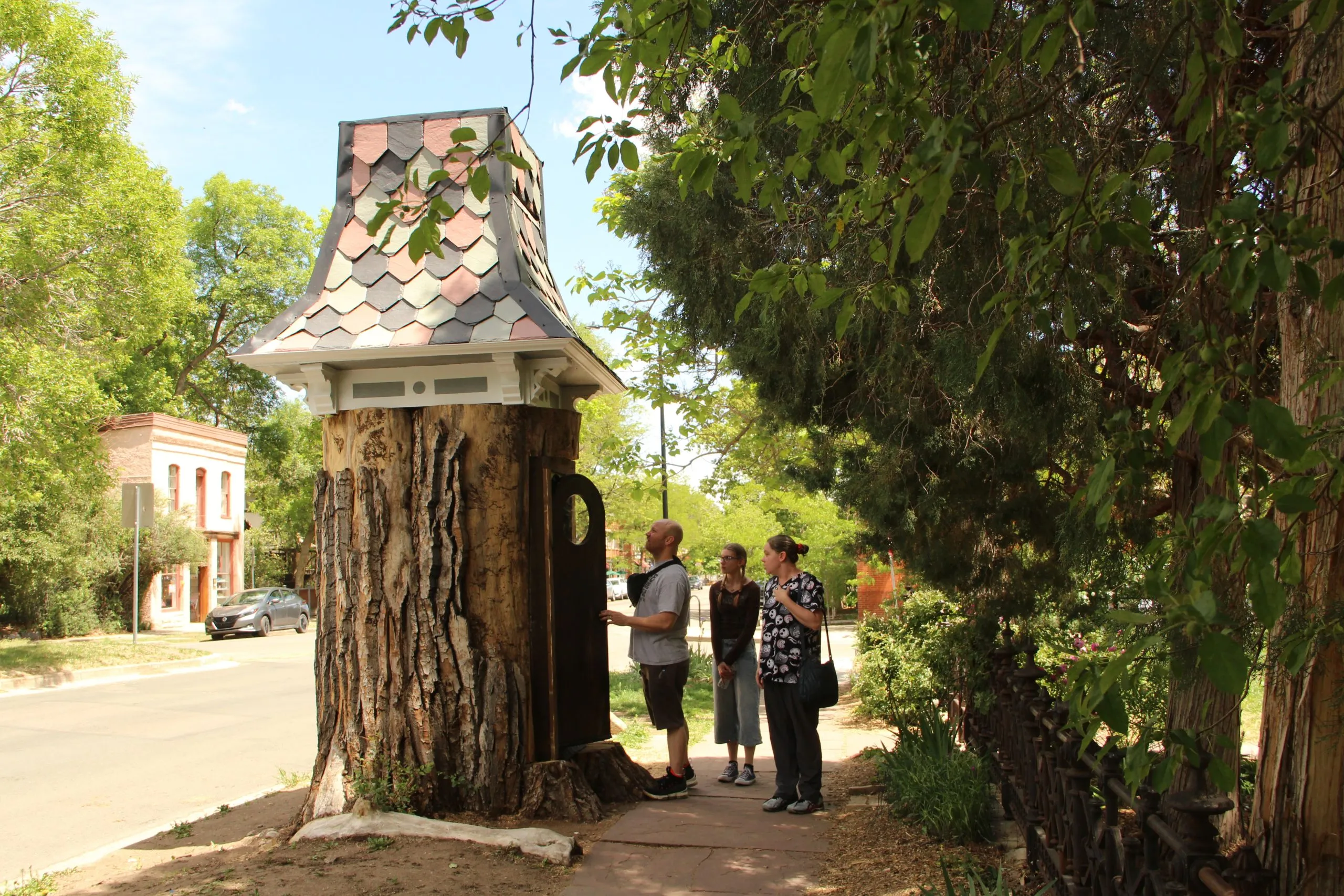 Stump of beloved Boulder Pearl Street cottonwood gets second life as little library