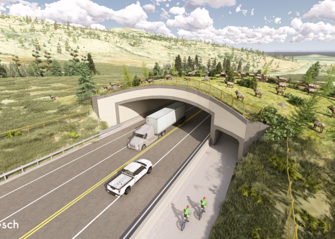 Boulder County advances wildlife crossing plans on U.S. 36 as Colorado nears new funding source