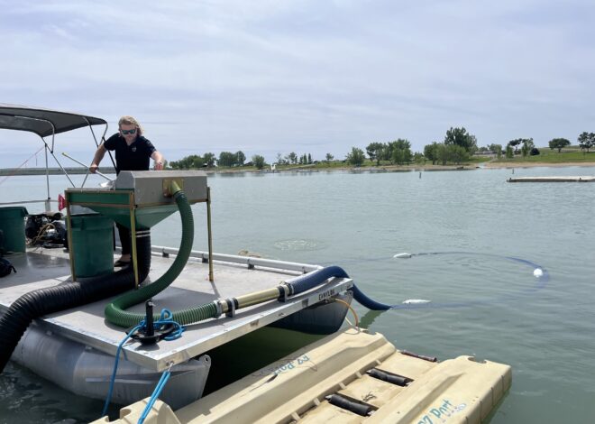 Boulder launches diver-led effort to remove invasive plant from reservoir