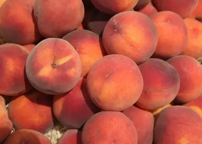 Boulder Market Meals: Celebrate peach season with Colorado Peach Gingersnap Ice Cream