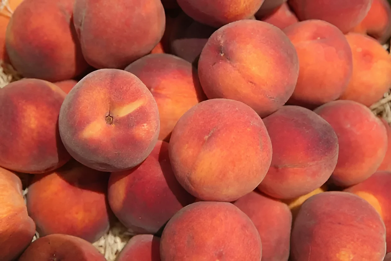 Boulder Market Meals: Celebrate peach season with Colorado Peach Gingersnap Ice Cream