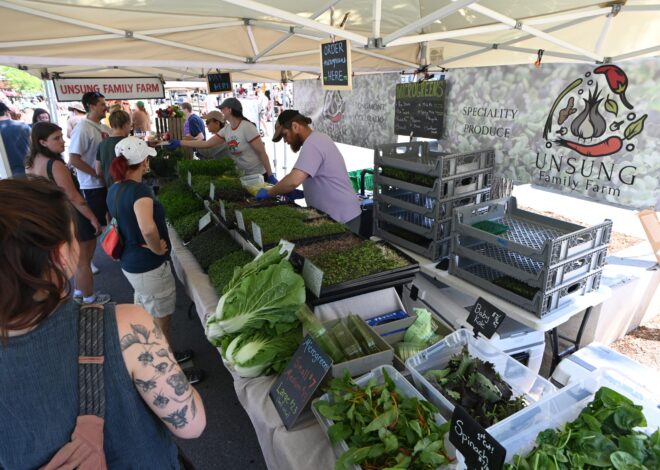 Boulder County farmers scale back crops, CSAs and staffing as drought reshapes the growing season
