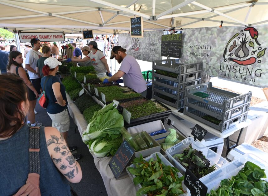 Boulder County farmers scale back crops, CSAs and staffing as drought reshapes the growing season