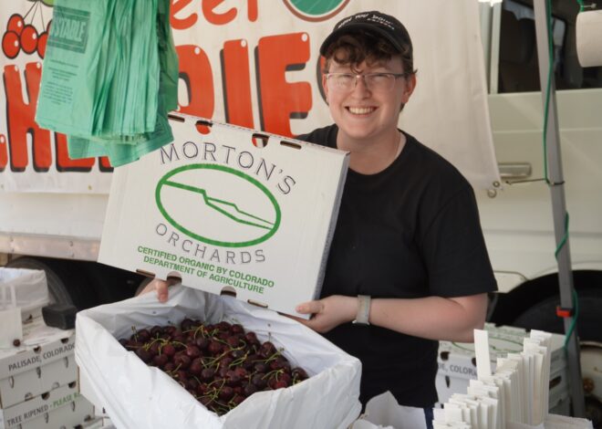 Boulder Market Meals: Colorado cherries sweeten a fresh market salsa