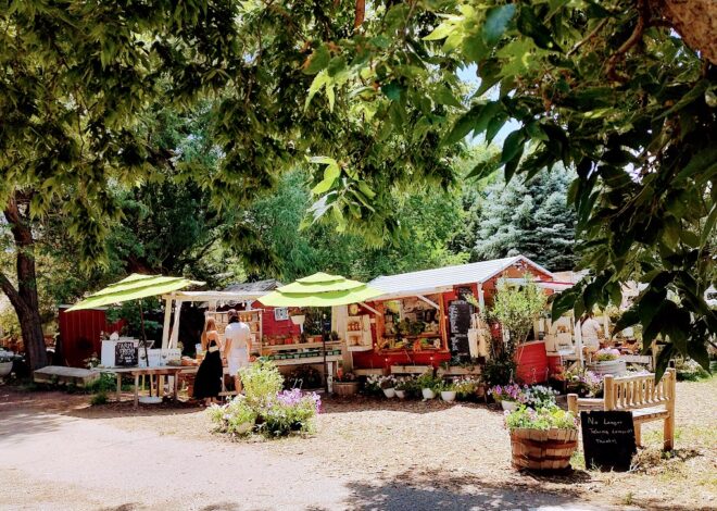 28 Boulder County farm stands worth a summer road trip