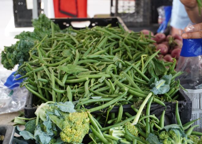 Boulder Market Meals: Classic Nicoise salad showcases summer green beans