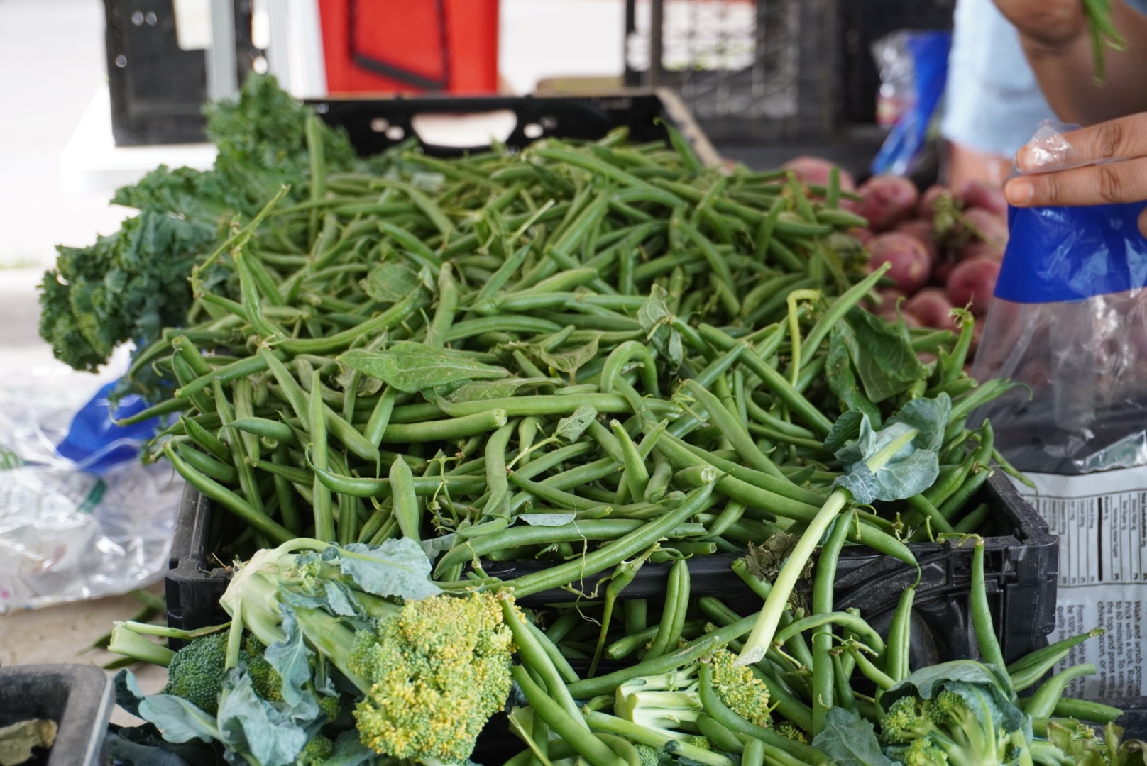 Boulder Market Meals: Classic Nicoise salad showcases summer green beans