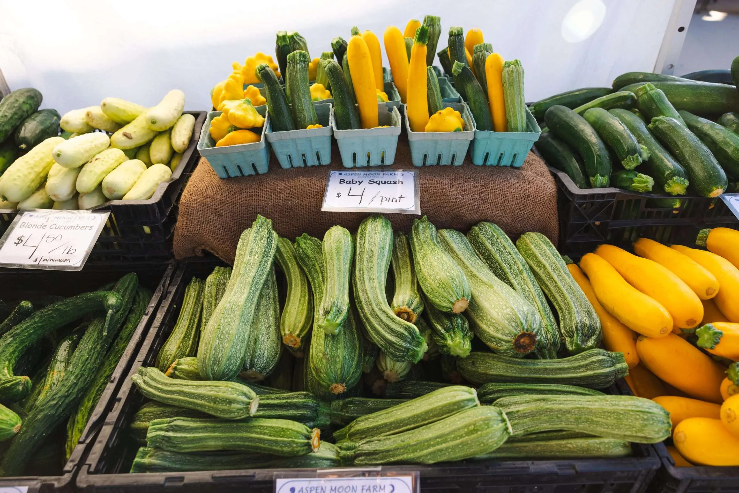Boulder Market Meals: Fresh local zucchini turns into crispy summer fritters