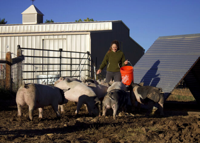 Boulder Market Meals: A guide to locally raised meat at the farmers market