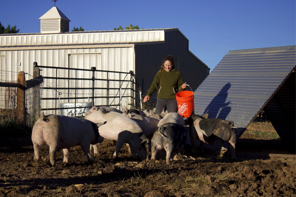Boulder Market Meals: A guide to locally raised meat at the farmers market