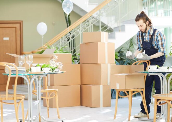 Dunedin Movers Experts: Your Trusted Partner for a Stress-Free Relocation