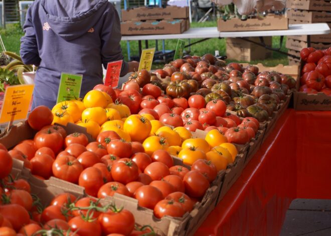 Boulder Market Meals: Fresh tomato pie captures peak summer flavor