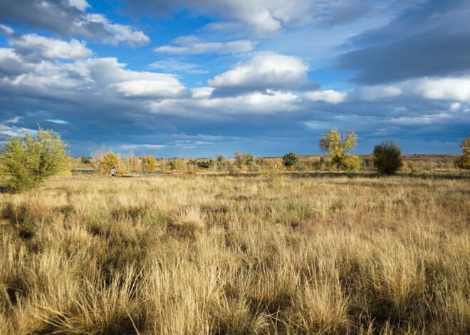 Colorado appeals court upholds Boulder’s financing plan for $76.5 million CU South flood project