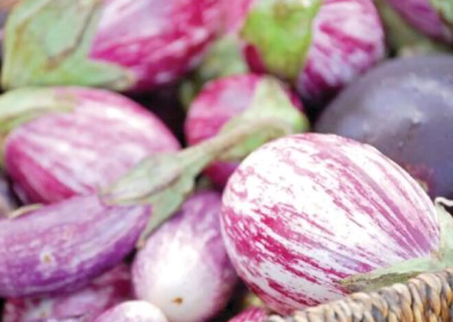Boulder Market Meals: Turn locally grown eggplant into smoky baba ghanoush