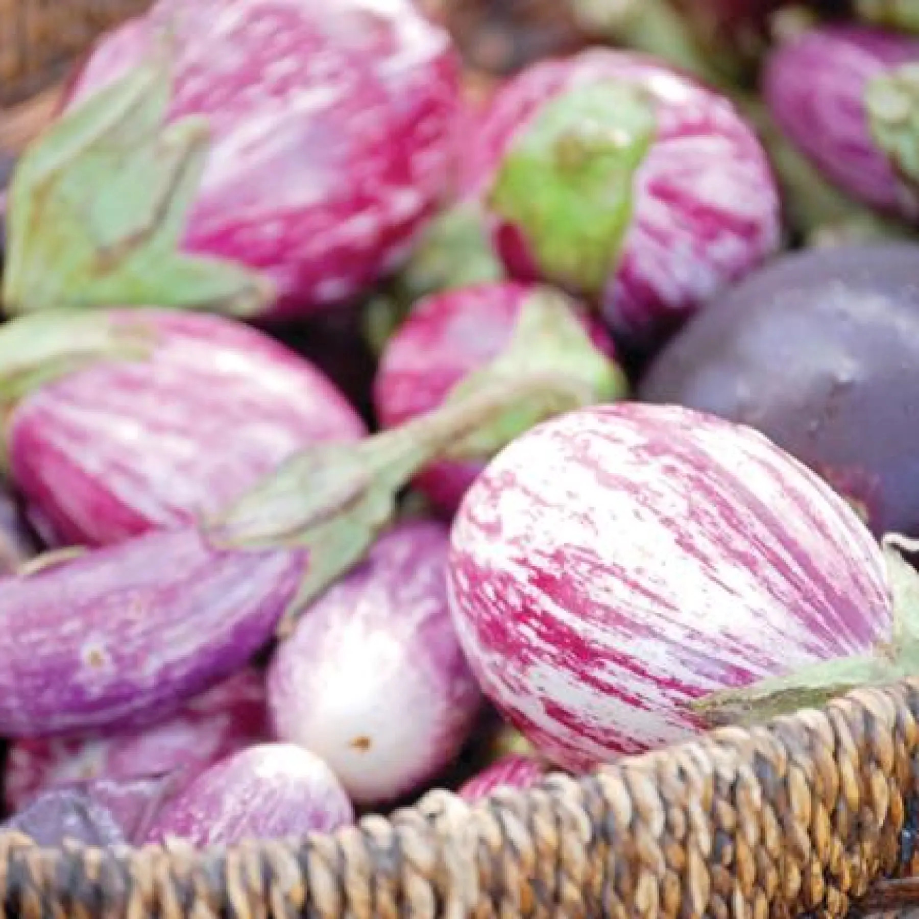 Boulder Market Meals: Turn locally grown eggplant into smoky baba ghanoush