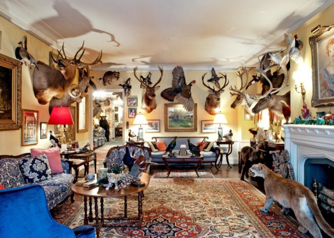 Moving Taxidermy Safely: What to Do Before the Professionals Arrive