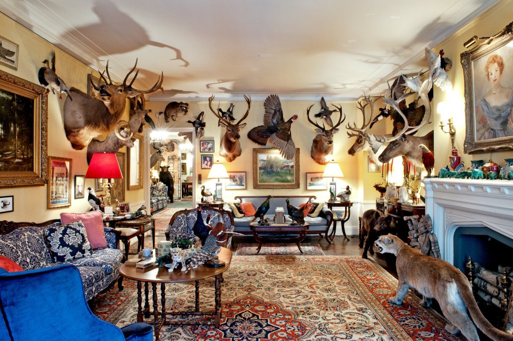 Moving Taxidermy Safely: What to Do Before the Professionals Arrive