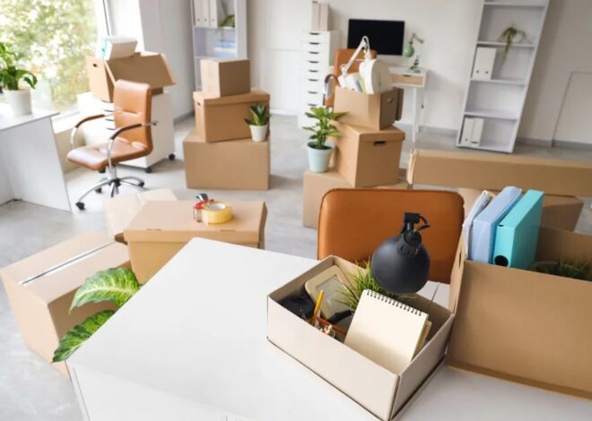 From New York City to Jamaica Plain: A Family Move With a Boston Feel