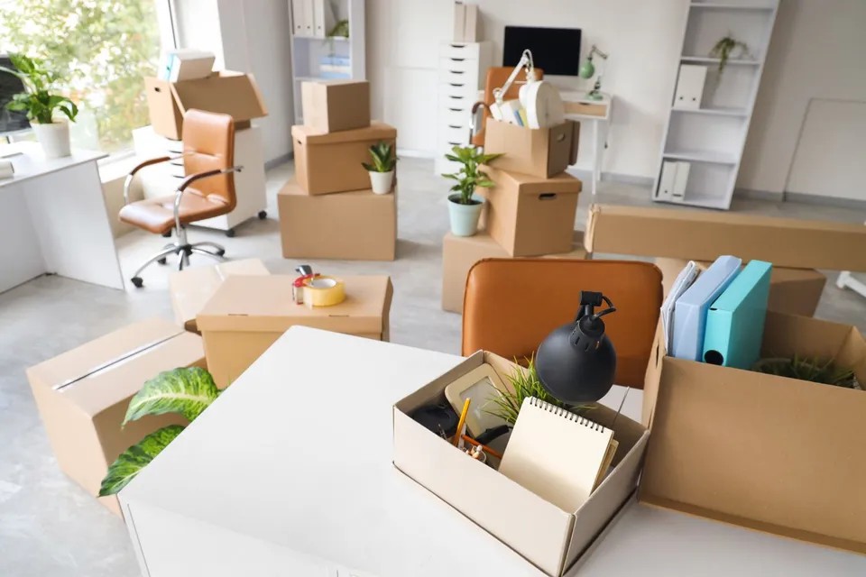 From New York City to Jamaica Plain: A Family Move With a Boston Feel
